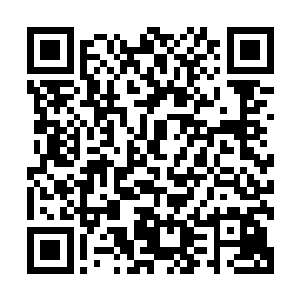 他们只是用来上新闻告诉民众是什么人干掉了托姆勒就足够了二维码生成