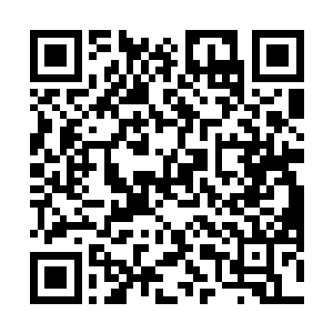 他们只是神色戒备的盯着没动手的朱翎雪和朱翎雨二人二维码生成