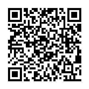他们只有两名神王级虎蛟大妖王和三名帅级虎蛟妖帅二维码生成