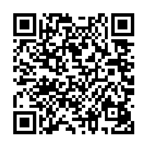 他们只来得及把大败而归的消息告诉营地内的佣兵二维码生成