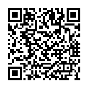 他们只用了半个小时就打到了结义山的山顶之处二维码生成