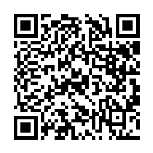 他们只看到身边的一人一个个莫名其妙的就死掉了二维码生成