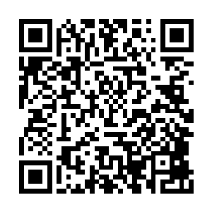 他们只看到这个女孩如鬼魅一样的身影一闪而已二维码生成