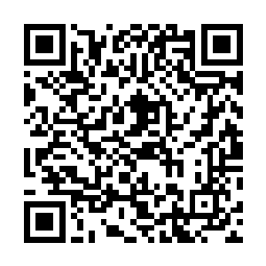 他们只能看到自己脑海里的那个图腾火焰玄门高手在都市二维码生成