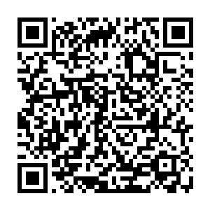 他们只能看到那个硕大的绿色藤蔓织成的大卵从一开始的嫩绿色变成了绿色二维码生成