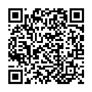 他们可以凭借夏天给他们的九级功法和身法击败对方二维码生成