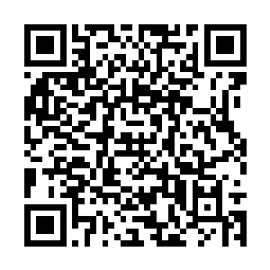 他们可以放下一切的架子和尊严去巴结或者是结纳二维码生成