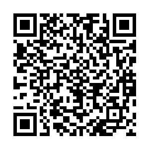他们可以根据自己的意愿选择是成为九原人还是离开九原二维码生成