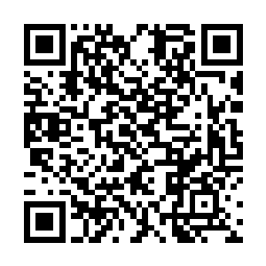 他们可以自由出入永夜之国和费南的某一个确定的坐标二维码生成
