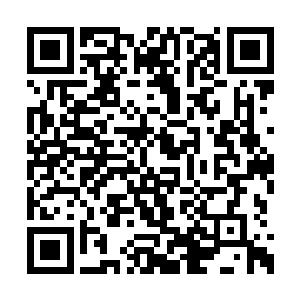 他们可就只能把所有的爱都投注在扶苏公子身上二维码生成