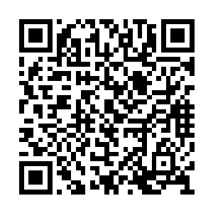 他们可是以一己之力杀死过十多个乌溪族的勇士二维码生成