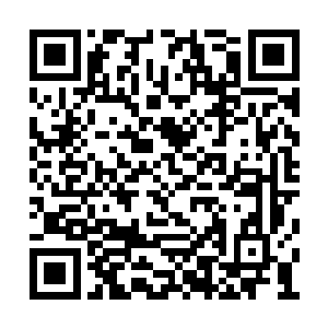 他们可是深知第五殿主这一份承诺有多么的珍贵二维码生成