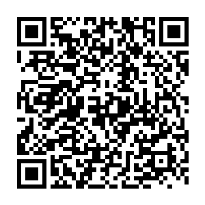 他们可能把给阿勒颇监狱准备的各种稀奇古怪的东西都用在我们头上二维码生成