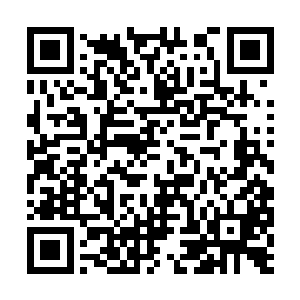 他们可都是付出了无比巨大的代价这才逃离了出来二维码生成