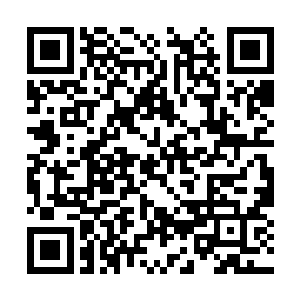 他们同许紫烟一样也对抓捕的海族尸体经过了搜魂二维码生成