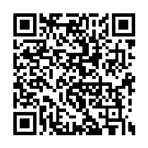 他们听沈越的每个月可以从沈越这里拿到不少钱二维码生成