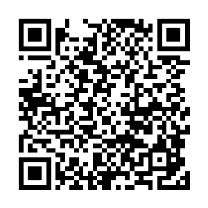 他们呆呆地看着荣光和他的队友们抱在一起庆祝这个进球二维码生成