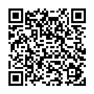 他们和海盗王一方还有白象商会的私人武装是合作关系二维码生成