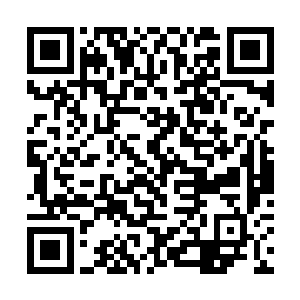 他们和荣耀至死之间或多或少还是有一些眼神的交错二维码生成