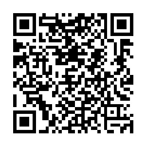 他们哪里知道眼前的景象与他们的王者许紫烟根本没有关系二维码生成