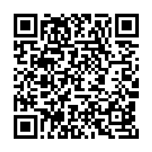 他们哪里见过这么多的高阶修士同时交手的场景二维码生成