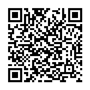 他们唯一的来钱项就是和那些中小商人收取保护费二维码生成