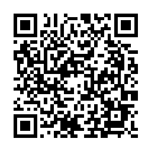 他们四个人毫不犹豫地又在炼丹炉底释放了一个火灵符二维码生成
