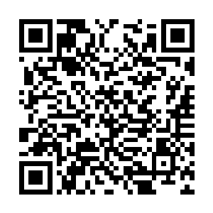 他们四人便是这一届五方盟选拔大赛最妖孽的四人二维码生成