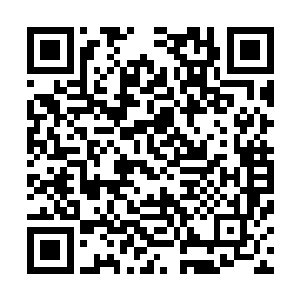 他们四位徒弟也从未见过他们师父会因为什么东西而动容的二维码生成