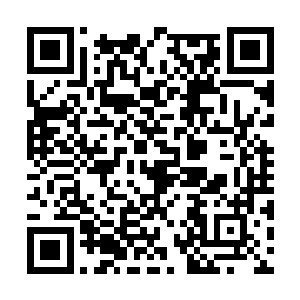 他们因此而肆意屠杀出现在龙宫之内的水族和海族二维码生成