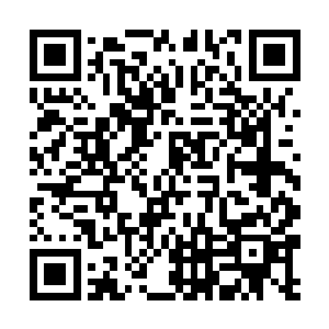 他们土流沙的规模一直是忍术界不大也是不小的力量二维码生成