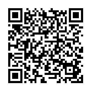 他们在九重塔第一层第一次出击的傀儡面前失败了二维码生成