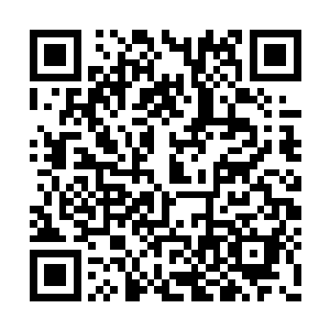 他们在仅仅只有一名观众的街头完成了正常演出二维码生成