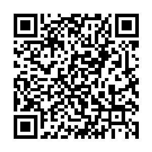 他们在你面前表现的彬彬有礼并不是因为他们在乎你二维码生成