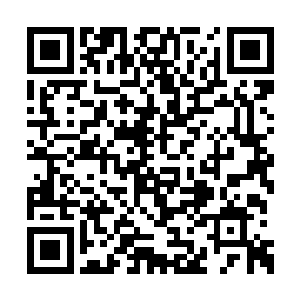 他们在塔塔林和普林斯特的带领下匆忙赶往港口二维码生成