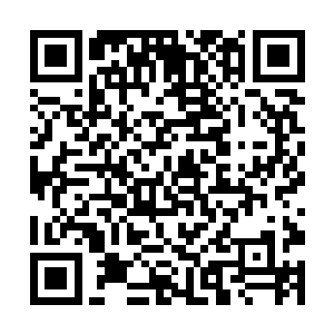 他们在底下地仙真仙战意正盛的氛围下自不会说出来二维码生成