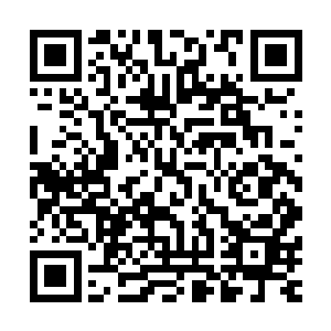 他们在怨恨汇聚在太虚宗那些修为强大的修士不出来拯救他们二维码生成