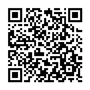 他们在让紫金山脉和天之海适合他们的强者降临到这个世界二维码生成