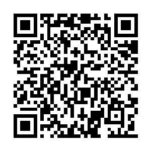 他们在这里根本就没有感觉到来自于未来的力量二维码生成