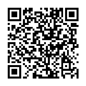 他们在里贾纳的声音里回忆着那段不堪回首的历史二维码生成