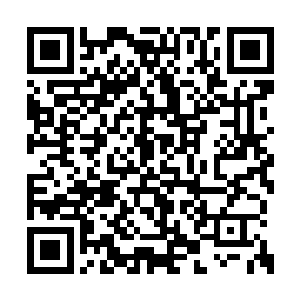 他们在飞升初期都会存在一个修为快速晋升时期二维码生成