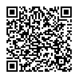 他们大将军能够留他们一条命已是看在两国邦交的面上网开一面了二维码生成