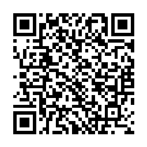 他们大概也是被我要为唐晓柔付出一切的气魄给吓到了吧二维码生成
