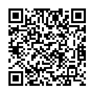 他们大概在一个小时前就被他们的一个姓张的朋友接走了二维码生成