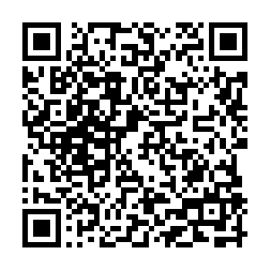 他们夫妻两绝对没有想到剑尘竟然在如如此短的时间内就成长到这般惊人的地步二维码生成
