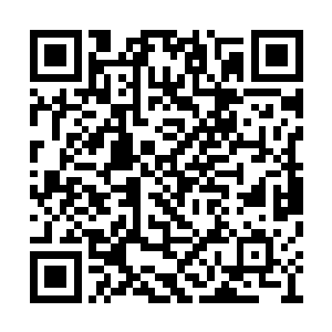他们好像是要杀死我们大龙县所有参与报名的人二维码生成