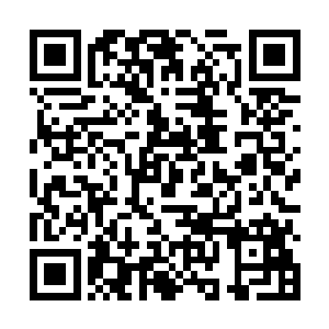他们好像知道那个正在跑路的混沌支点是哪个了··二维码生成
