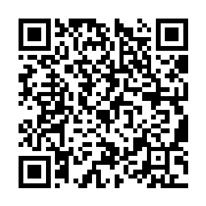 他们学了些勘察的本事请了两个猎户带路就进山了二维码生成