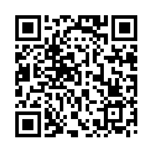 他们守护的龙之血脉根据主人当时的修为二维码生成