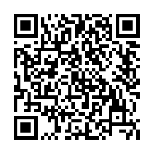 他们完全可以大张旗鼓地动用公开手段进行调查二维码生成